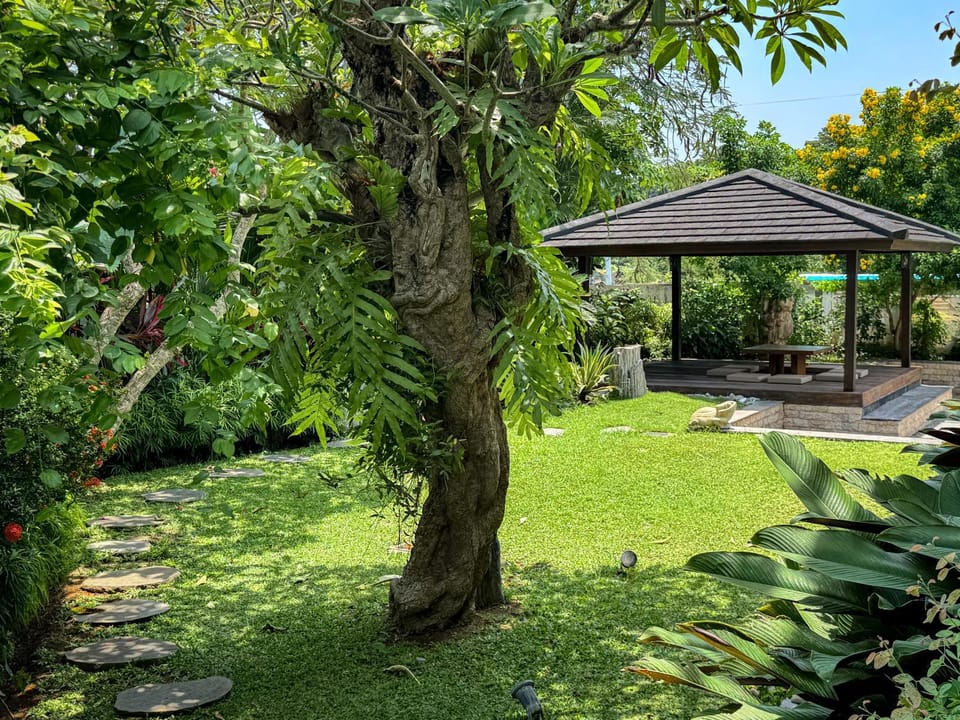 Day, Natural landscape, Garden, Garden view