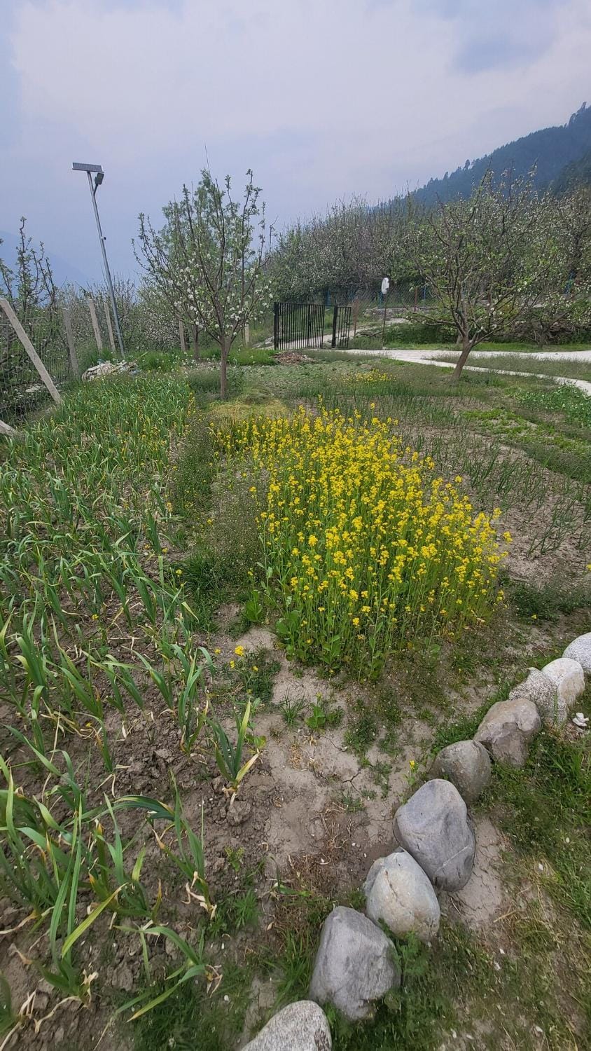 Natural landscape, Garden