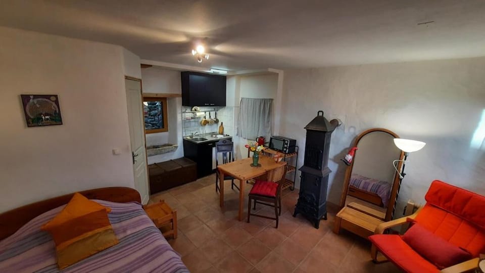 Bed, Kitchen or kitchenette, Living room, Photo of the whole room, Seating area, Dining area, Bedroom, oven