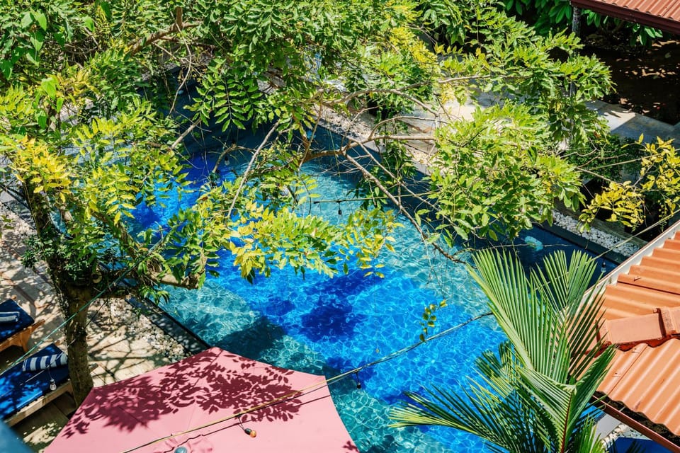 Day, Natural landscape, Garden, Pool view, Swimming pool