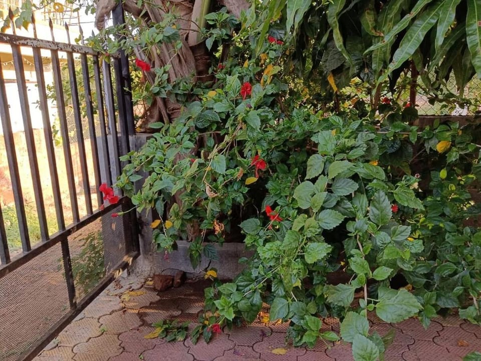 Samartha Krupa Homestay House in Maharashtra