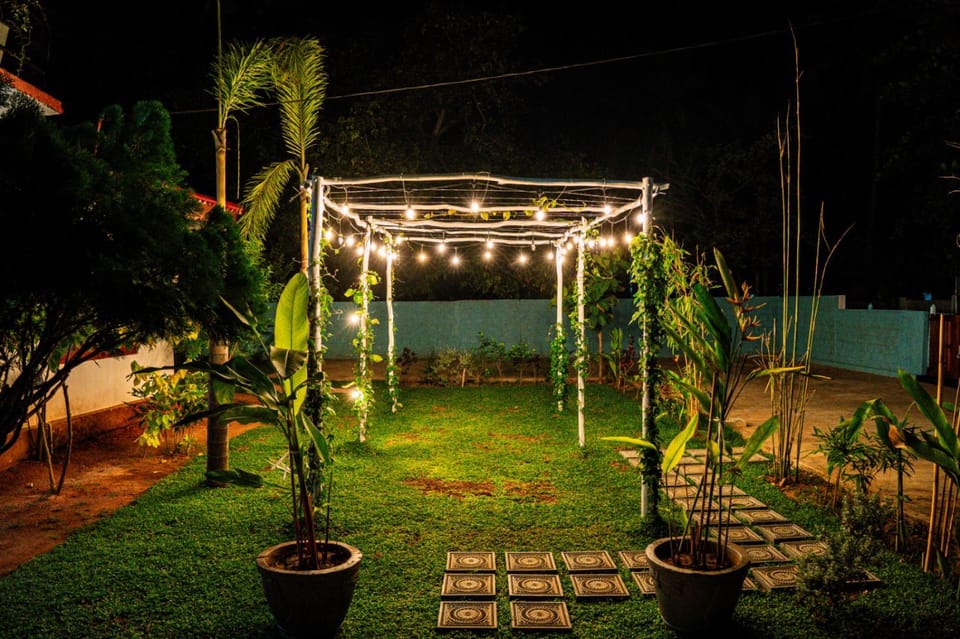 Night, Natural landscape, Garden, Garden view