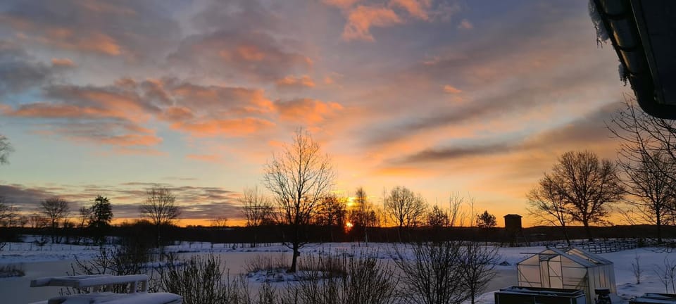 Natural landscape