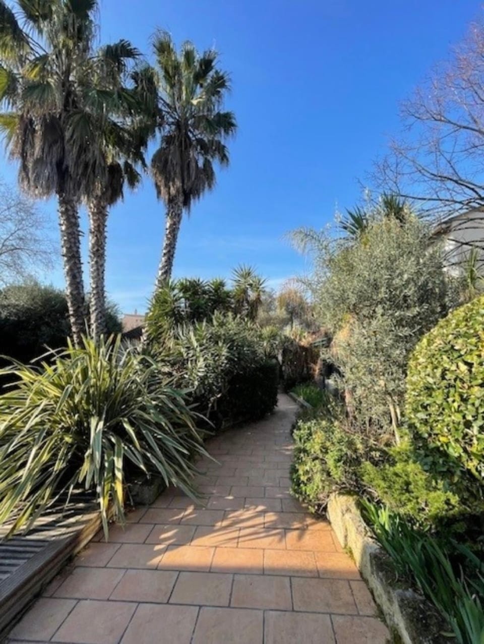 Villa Impressionniste - au coeur de Montpellier, villa 290 m2, jardin tropical, piscine, cuisine extérieure Villa in Montpellier