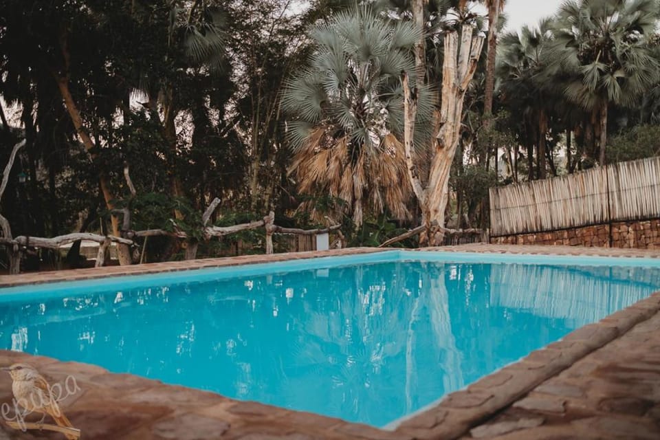 View (from property/room), Swimming pool