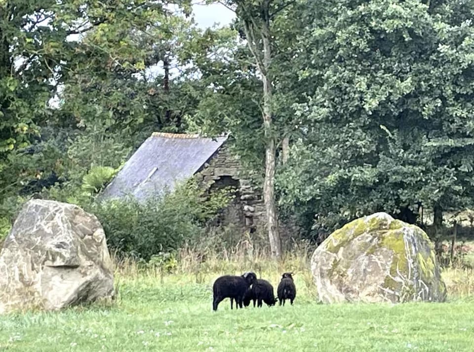 Petite Maison a 15km de la Mer et de l'Ile de Brehat avec Menhirs et Moutons Ouessant Apartment in Brittany