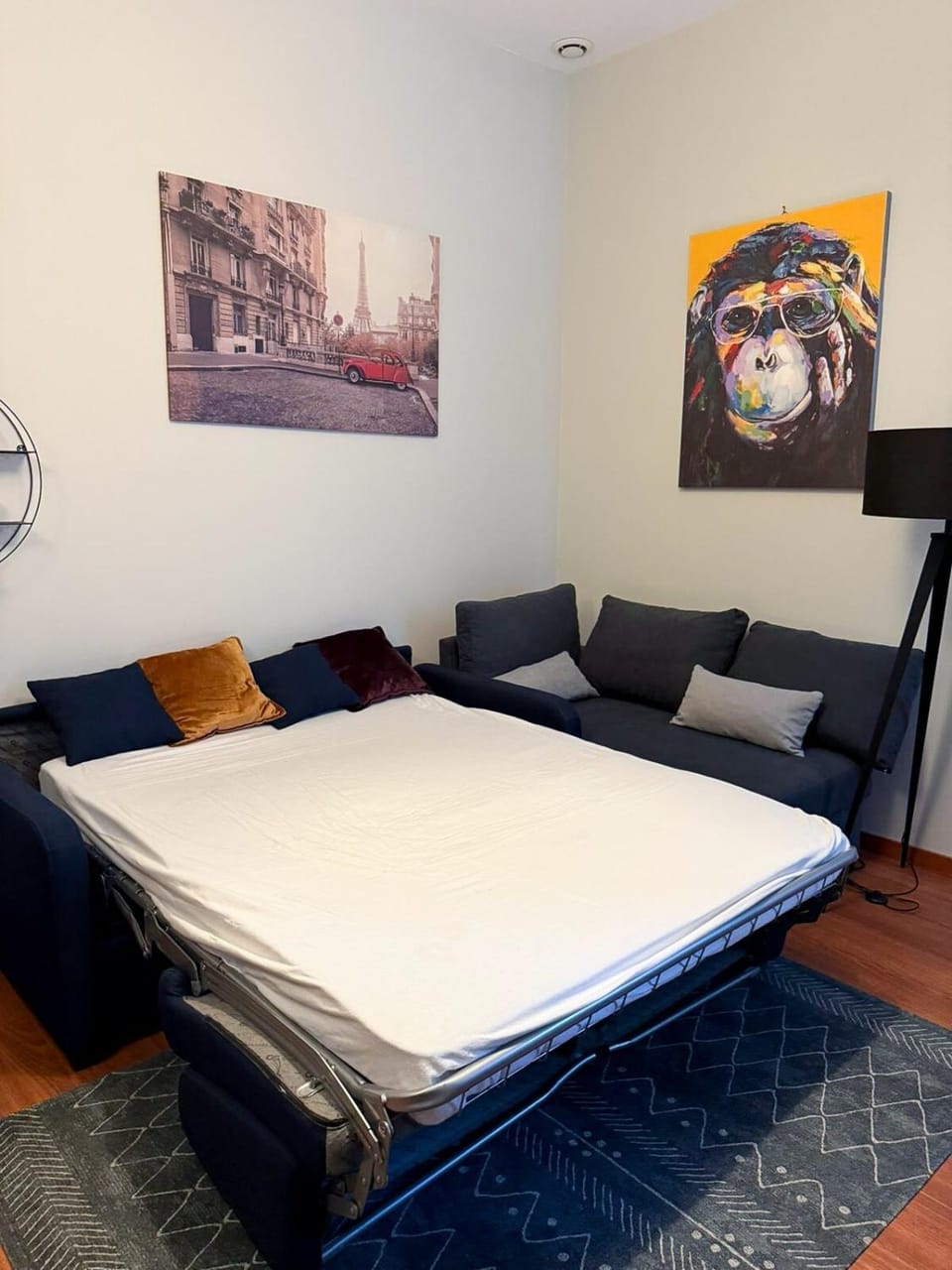Living room, Photo of the whole room