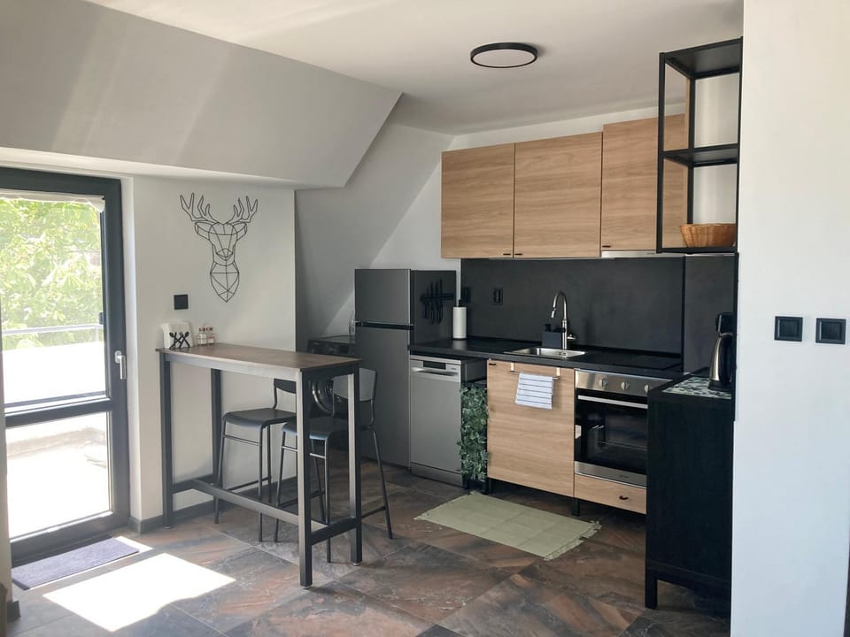 Kitchen or kitchenette, dishwasher, oven, stove