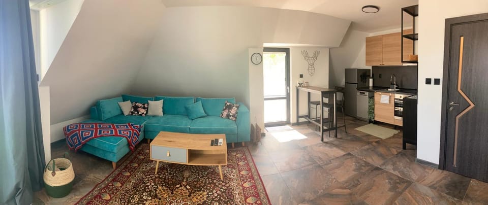 Kitchen or kitchenette, Living room, Photo of the whole room, Seating area, Dining area, oven, stove