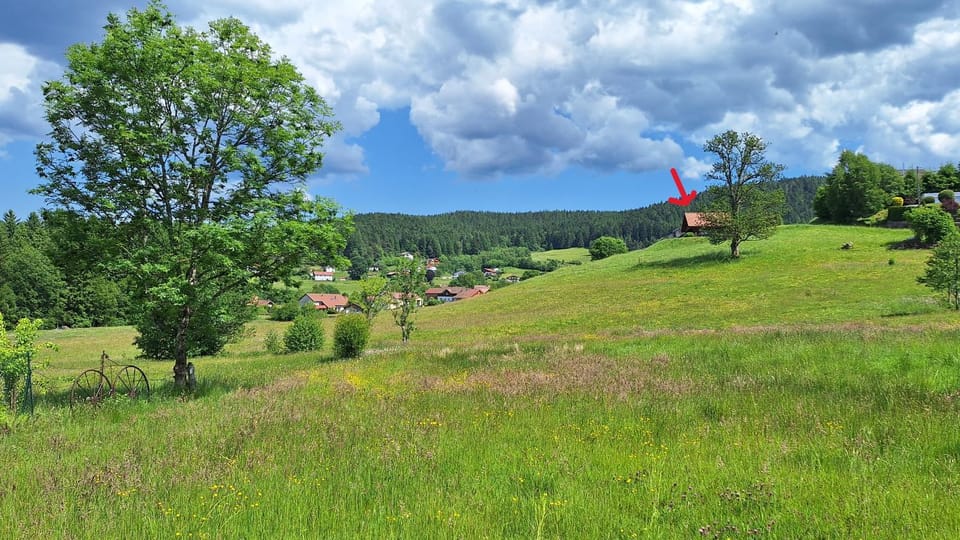 Spring, Mountain view
