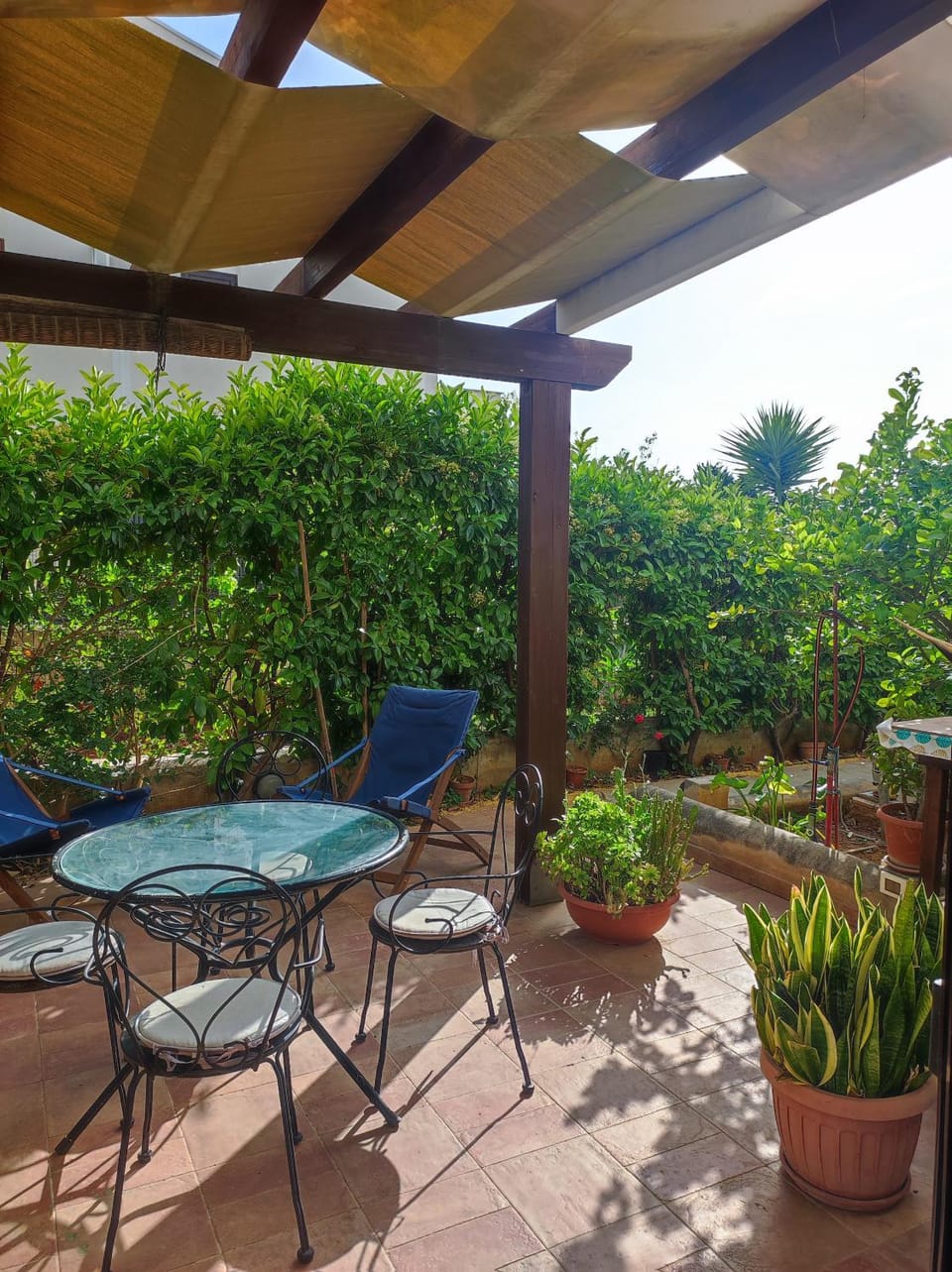 Patio, Garden