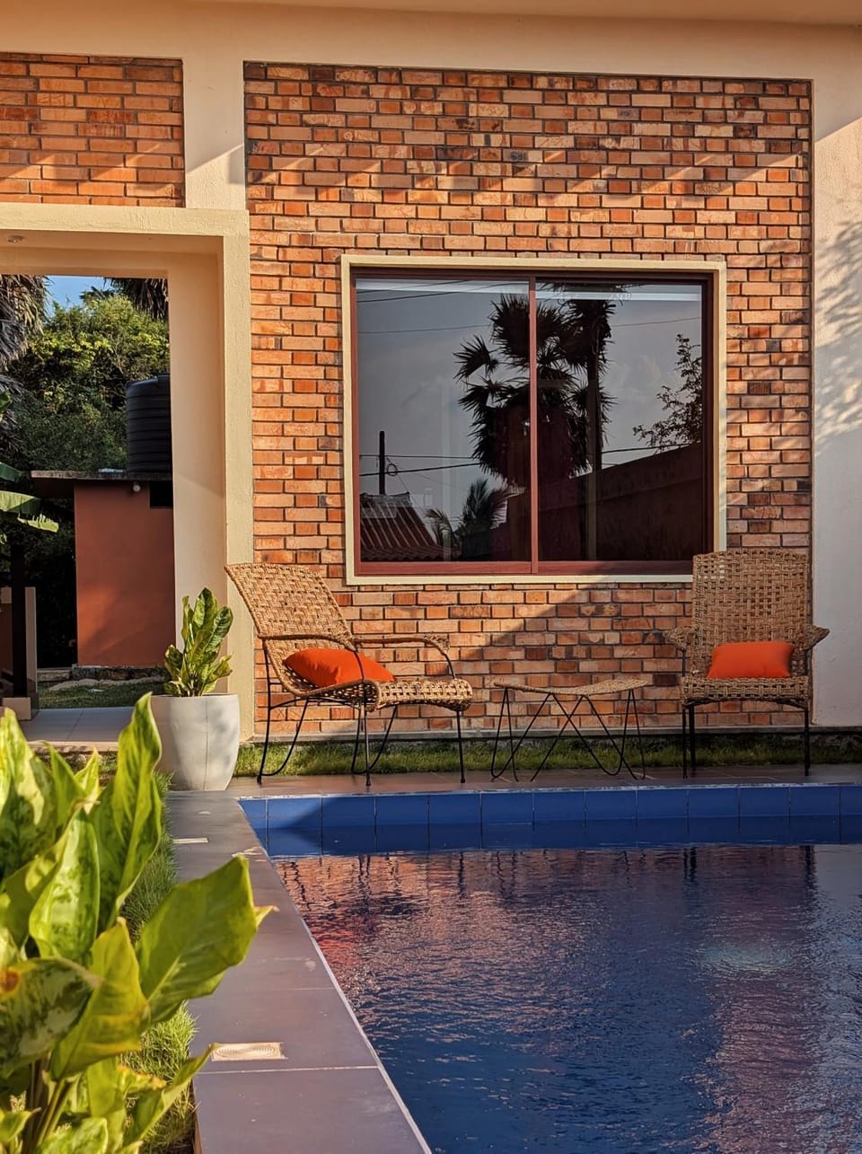 Day, Pool view, sunbed