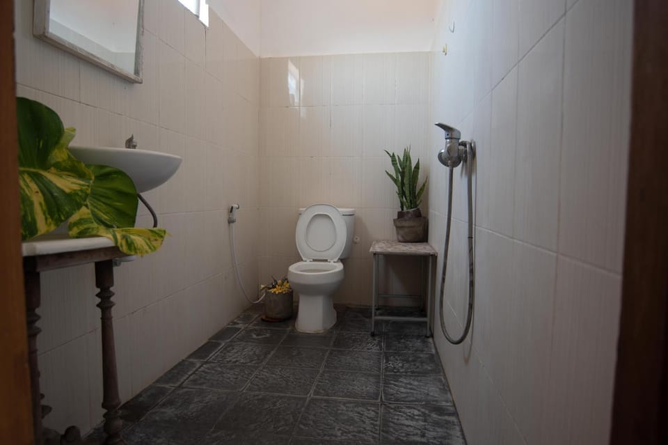 Toilet, Bathroom, bidet