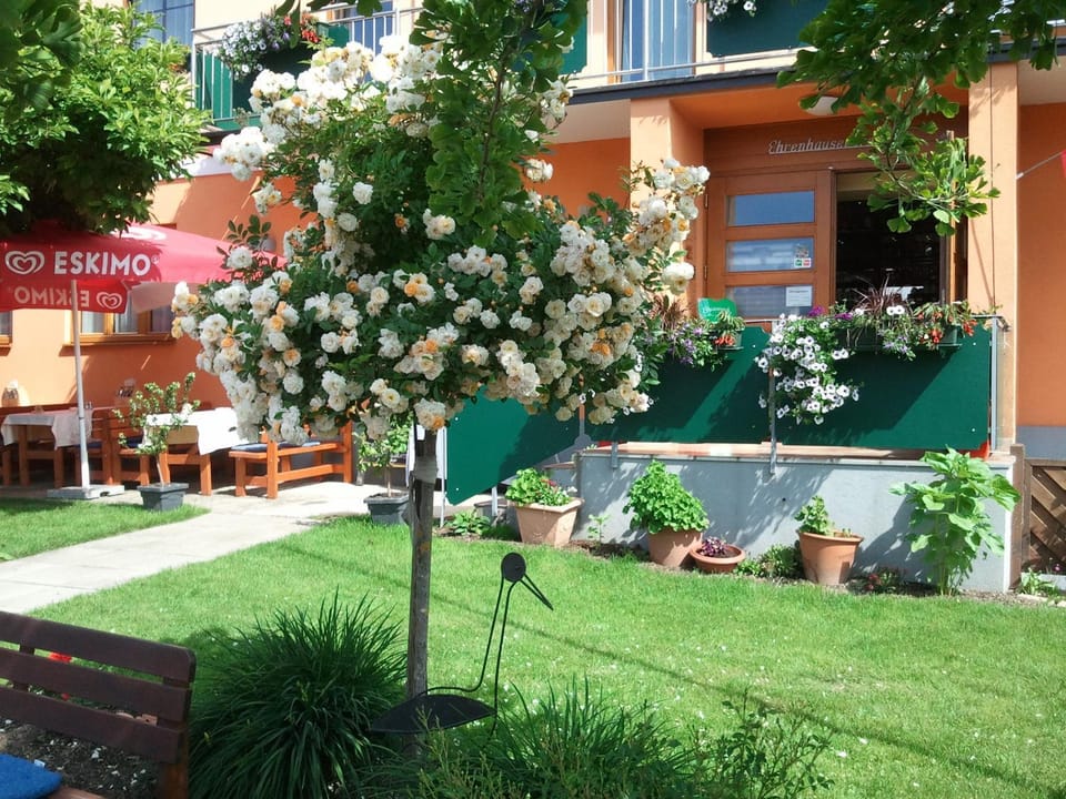 Restaurant/places to eat, Natural landscape