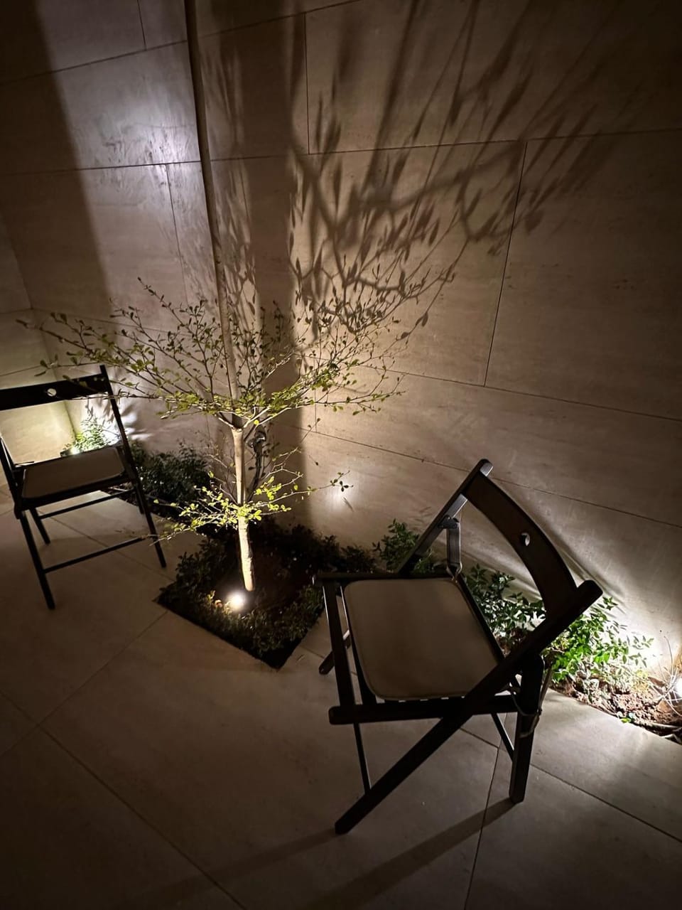 Patio, Garden view
