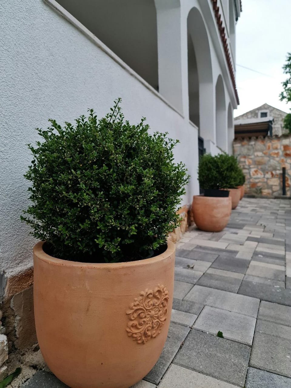 Property building, Garden