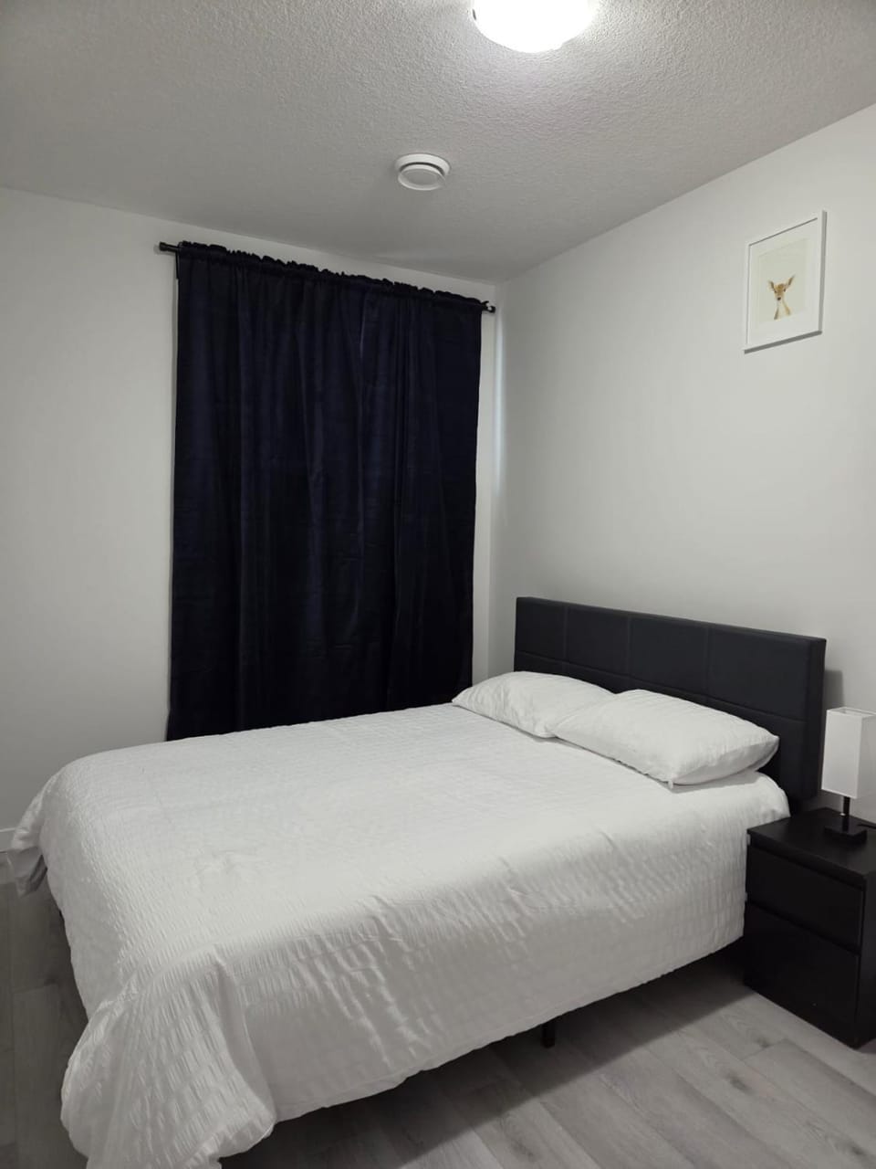 Elegant & Cozy 2 Bdrm Basement suite near WEM Bed and Breakfast in Edmonton