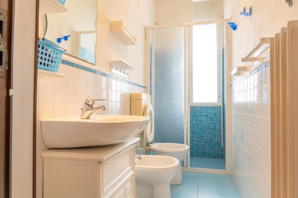 Shower, Toilet, Bathroom, bidet