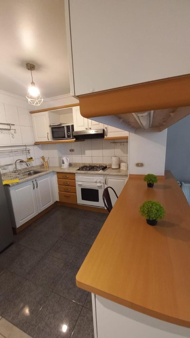 Luxurious Downtown Apartment Apartment in Santiago