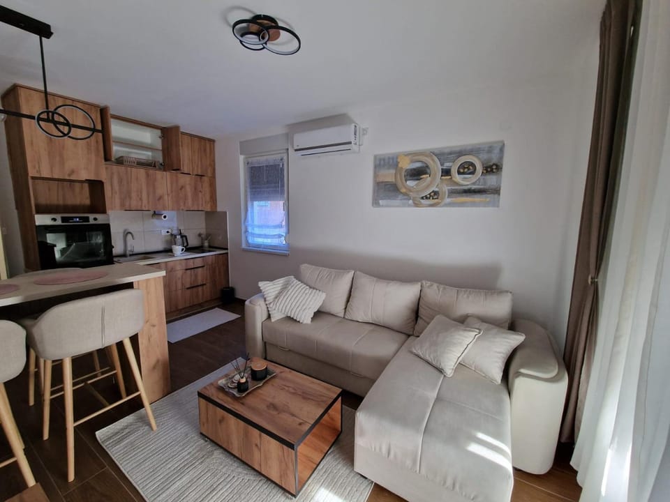 Apartman Miha Vrnjačka Banja Apartment in Serbia