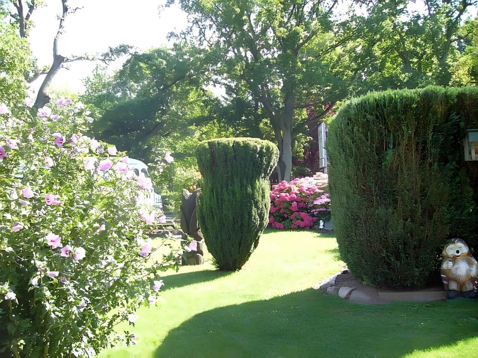 Summer, Garden