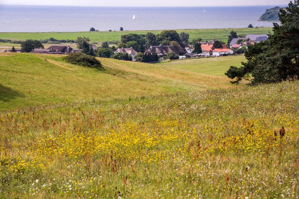 Natural landscape, Bird's eye view, Summer, Sea view