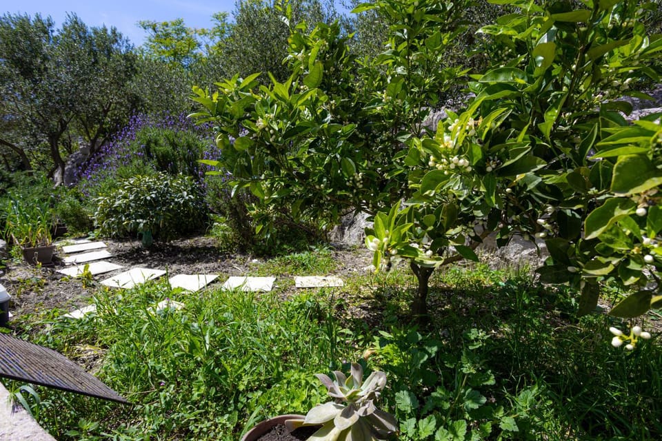 Apartment Skalin - Modern Comfort with a Local Touch Apartment in Dubrovnik-Neretva County