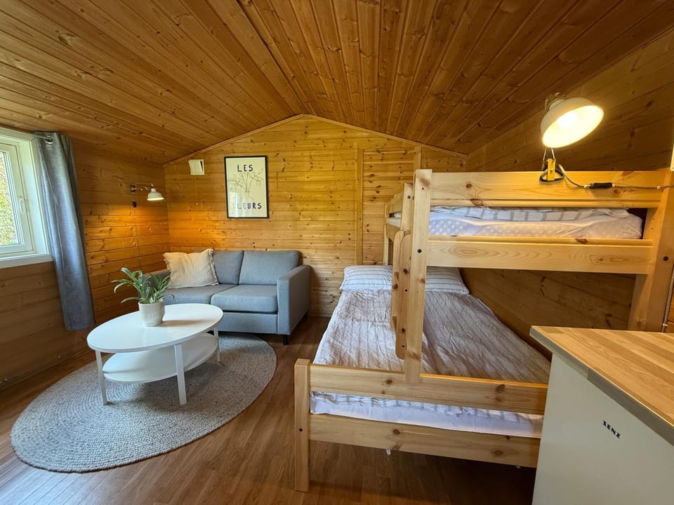 Bed, Living room, Photo of the whole room, Seating area