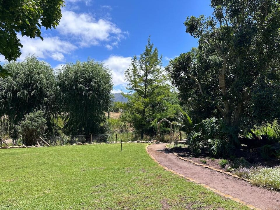 Natural landscape, Garden, Garden view