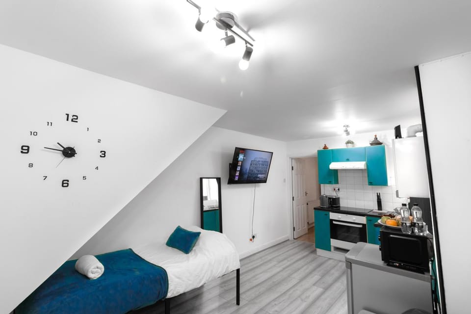 Bed, TV and multimedia, Kitchen or kitchenette, Living room, Photo of the whole room, Seating area, Bedroom, oven
