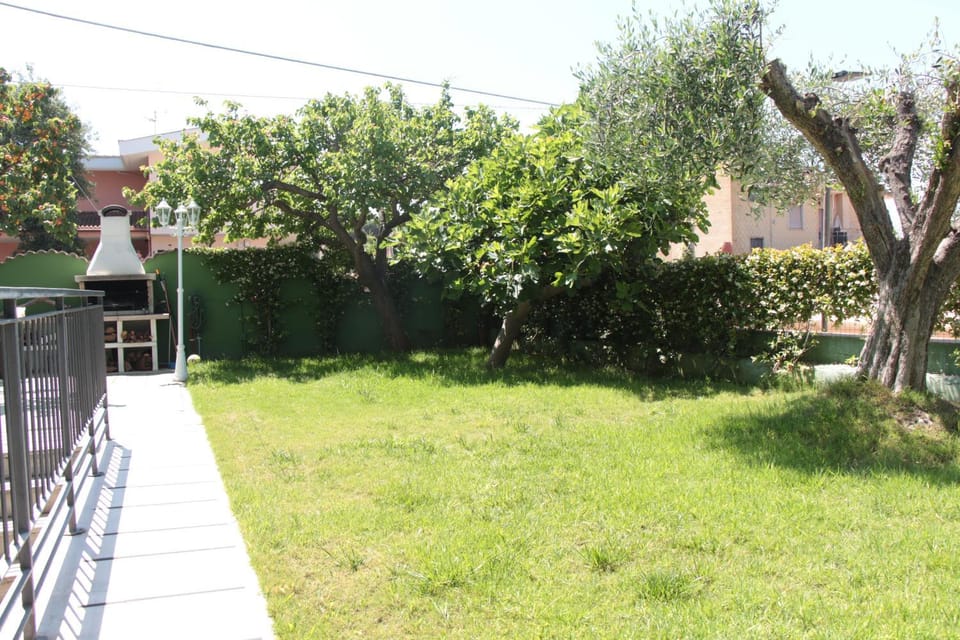 Spring, Day, Natural landscape, Garden, Garden, Garden view