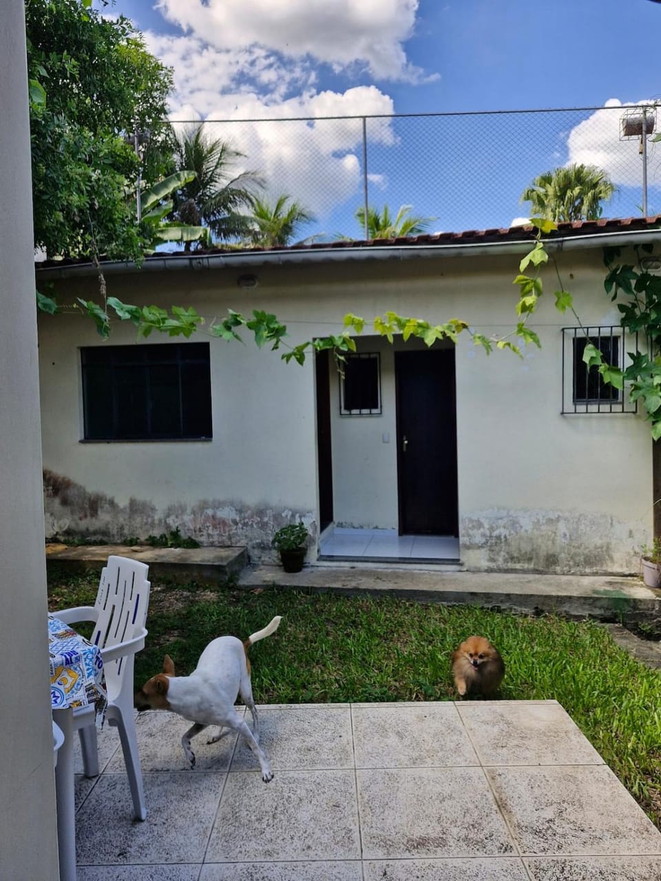 Patio, Garden, Garden view