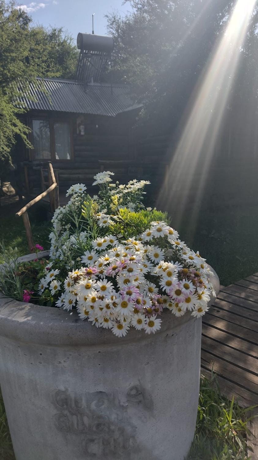 Spring, Day, Garden