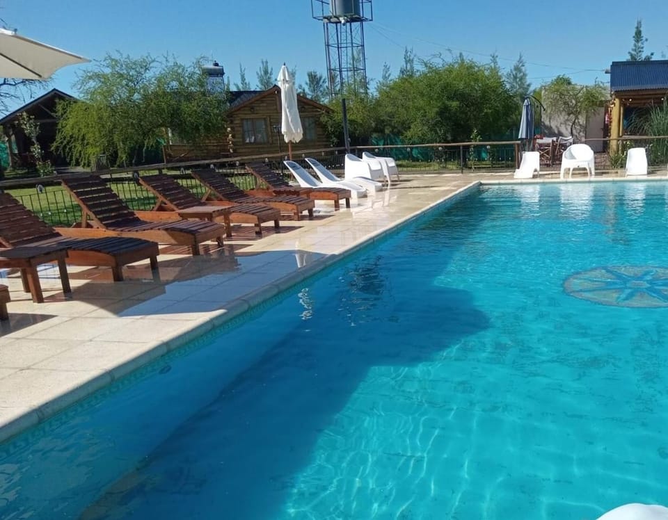 Day, Pool view, Swimming pool, sunbed