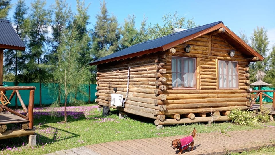 Property building, Garden view