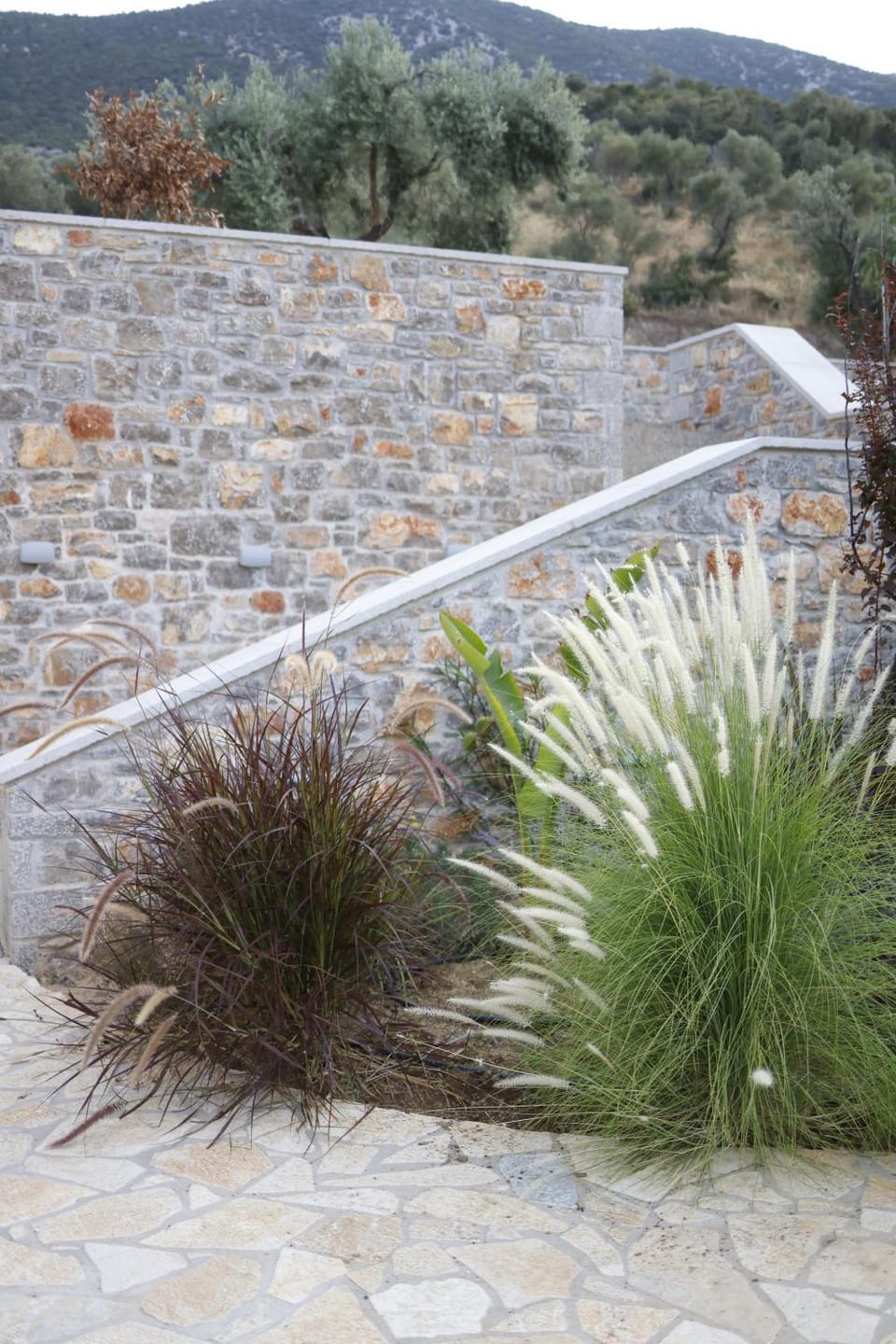 Natural landscape, Garden, Garden view