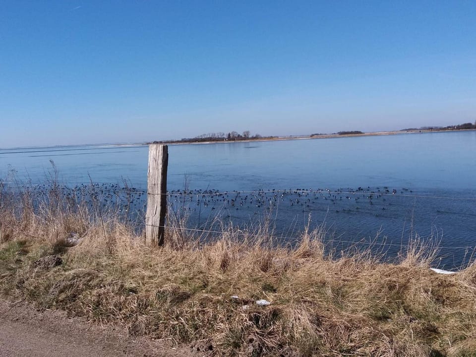 Lake view