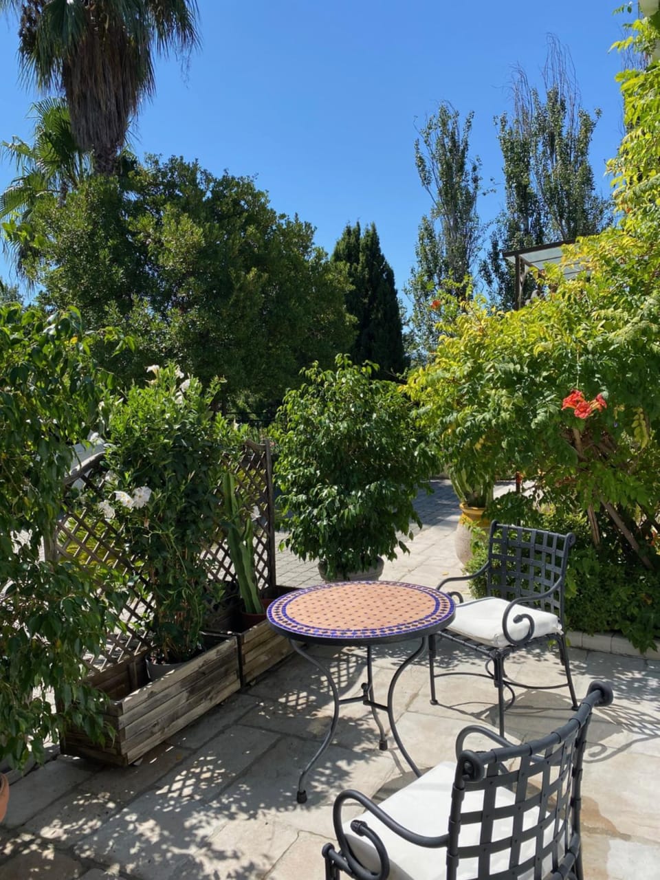 Patio