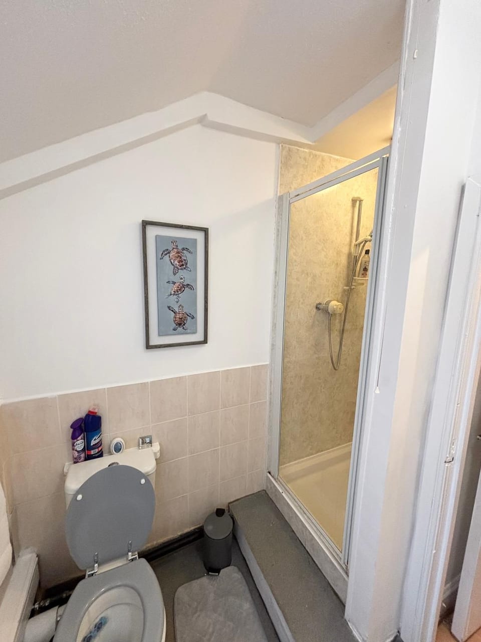 Shower, Toilet, Bathroom