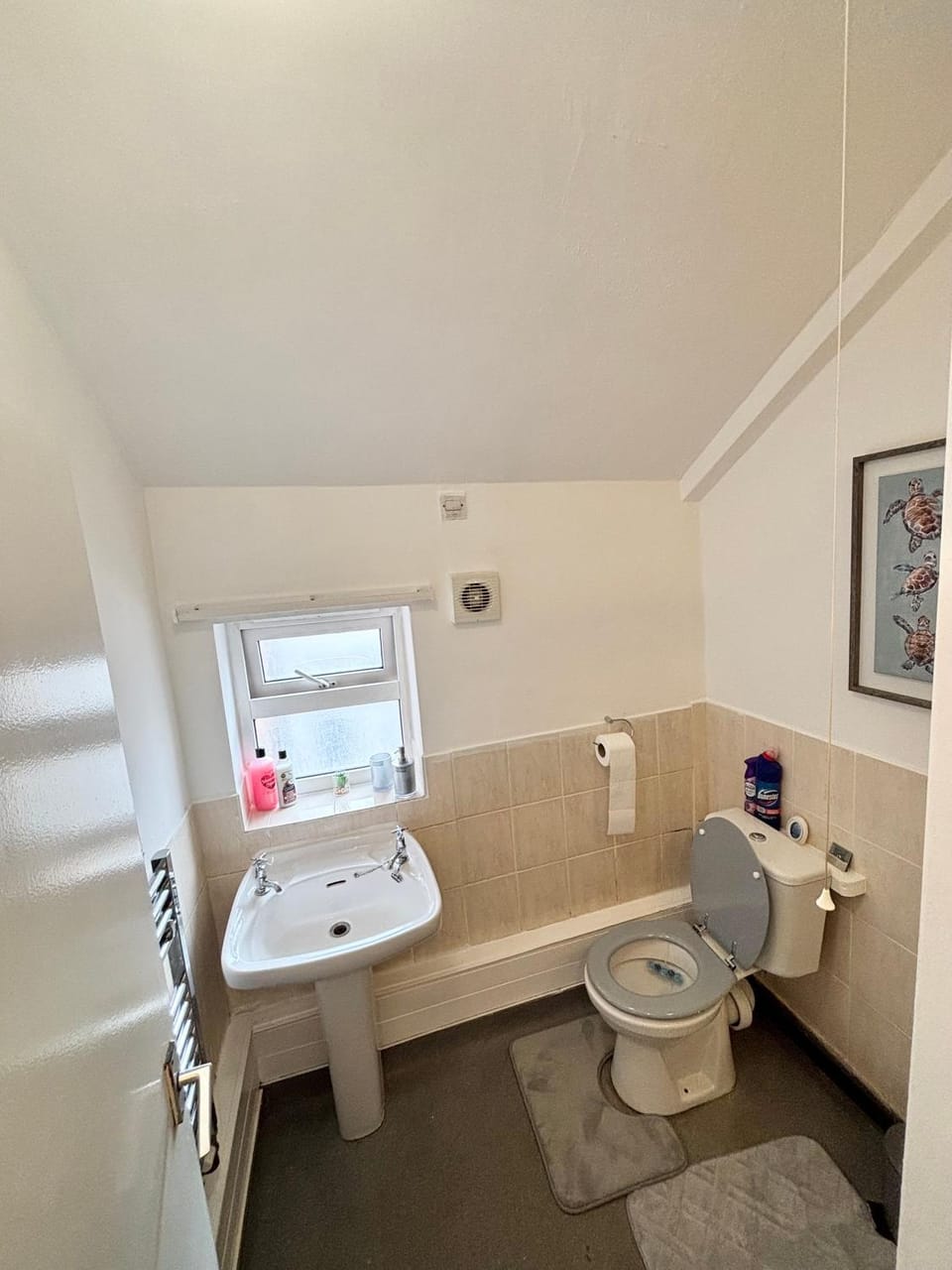 Toilet, Bathroom