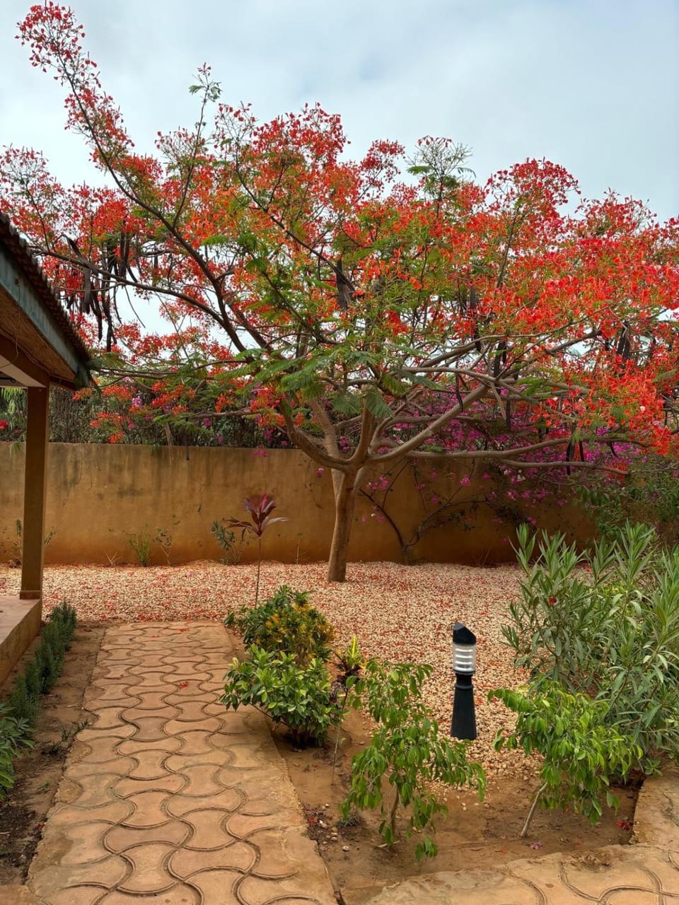 Garden, Garden view