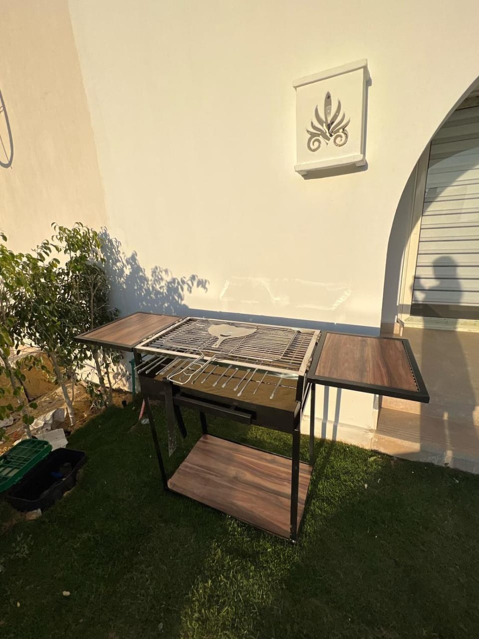 Table tennis, Table tennis