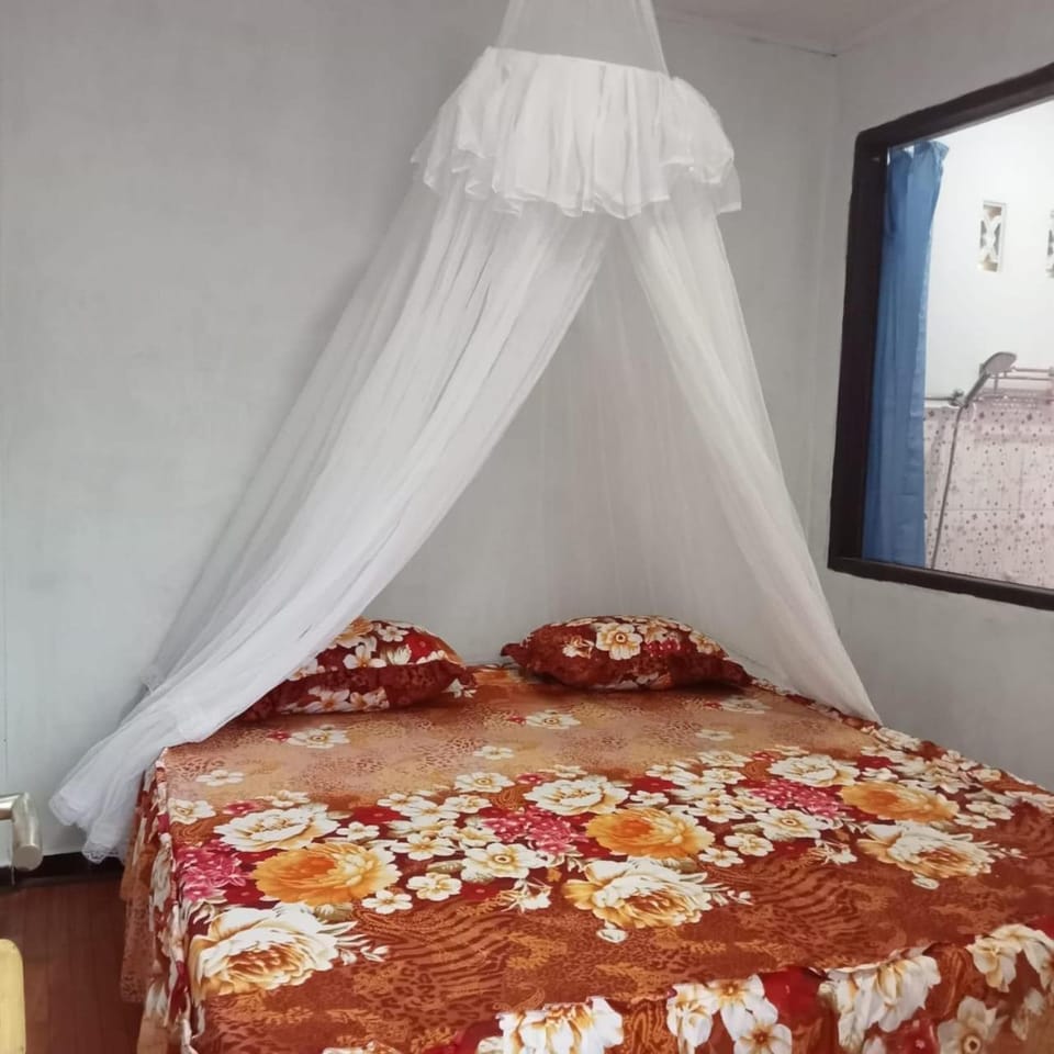 Explore Sumatra's WONDERS Bed and Breakfast in Indonesia