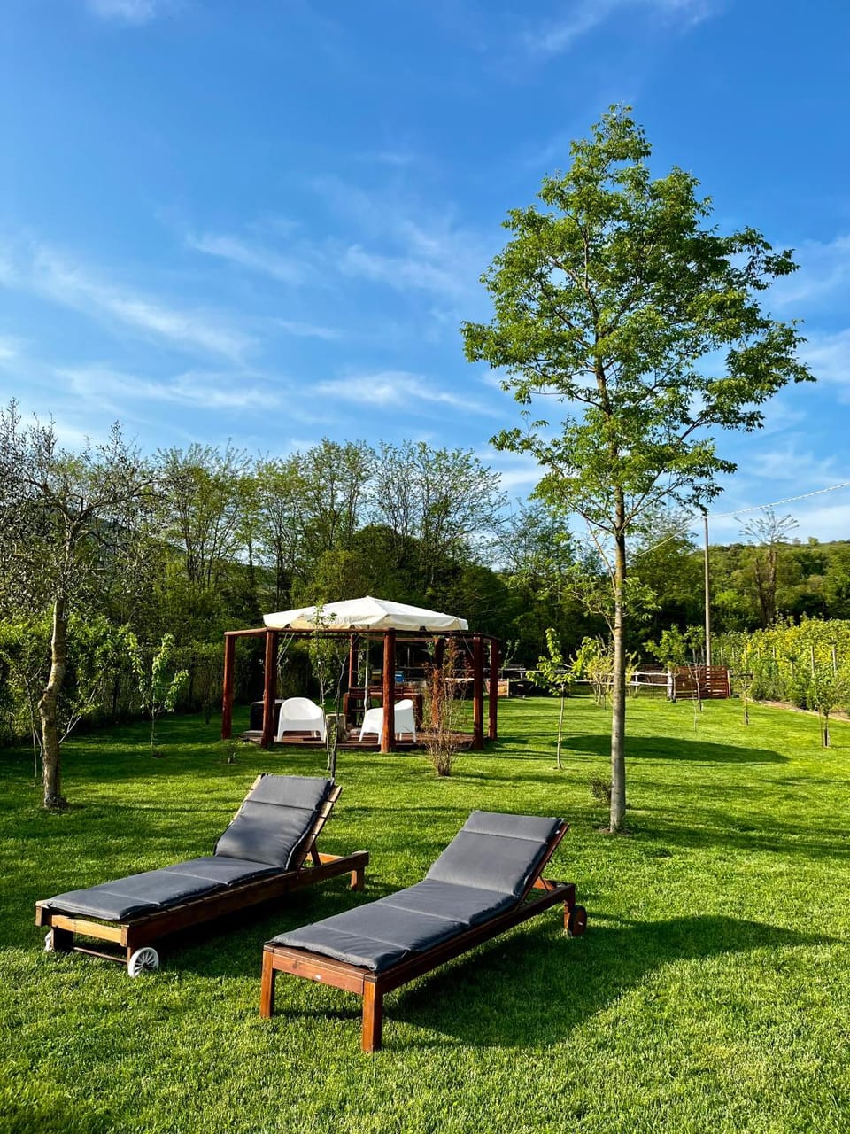 Garden, Garden