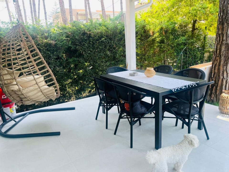 Garden, Seating area, Dining area