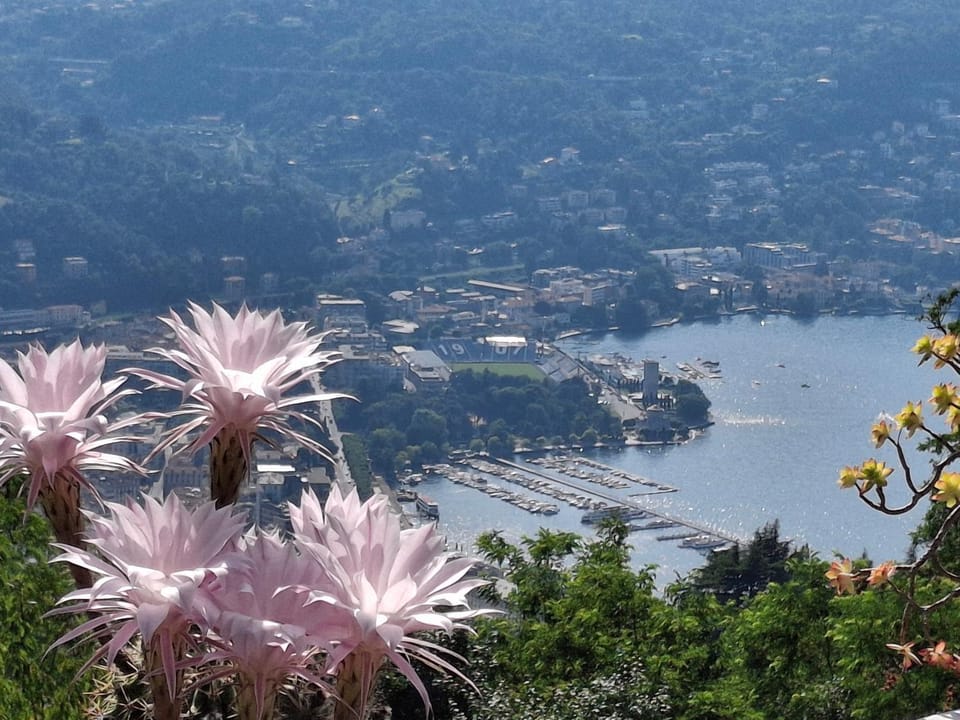 Spring, Day, City view, Lake view