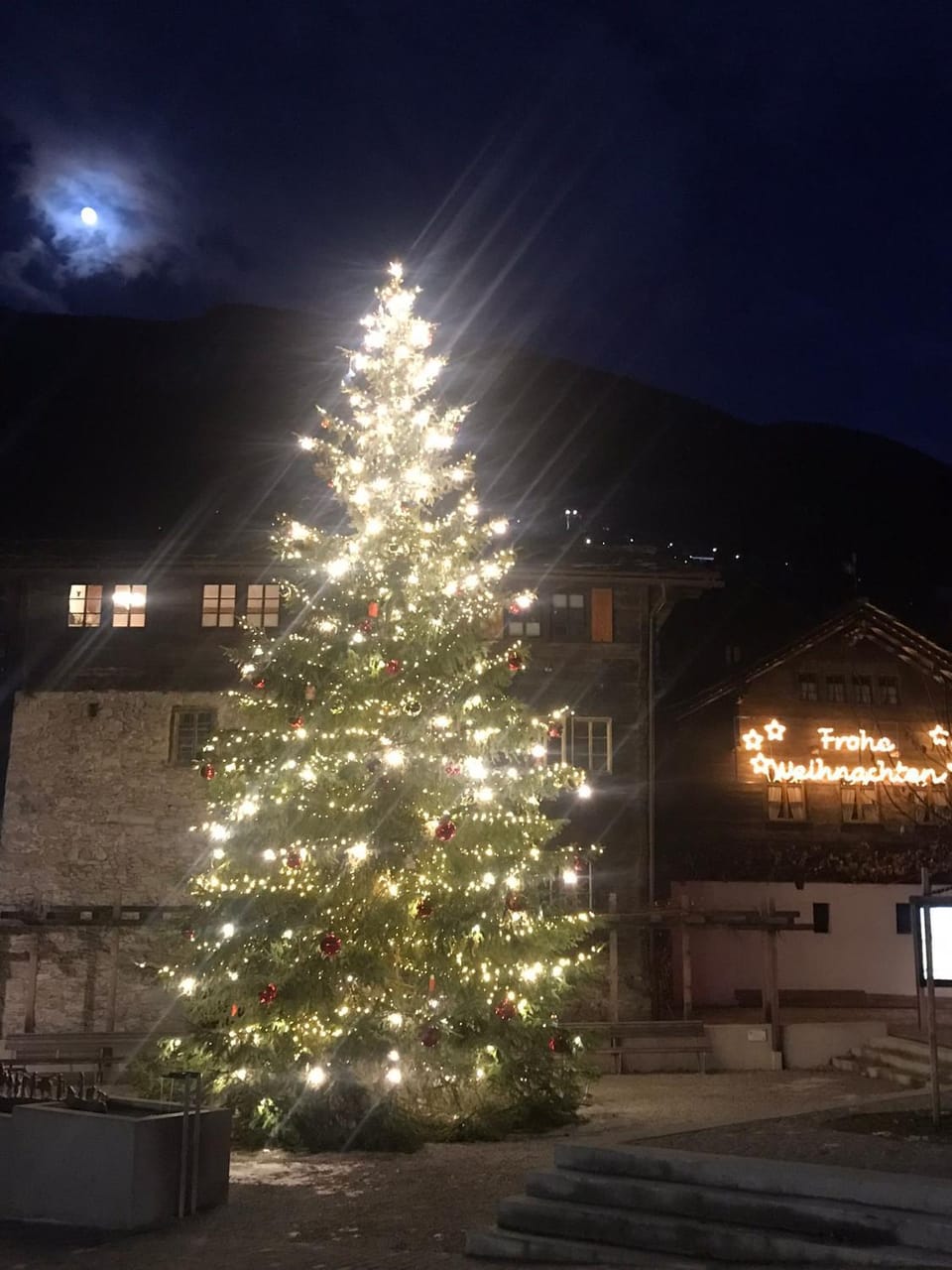 Chalet Chinegga Apartment in Canton of Valais