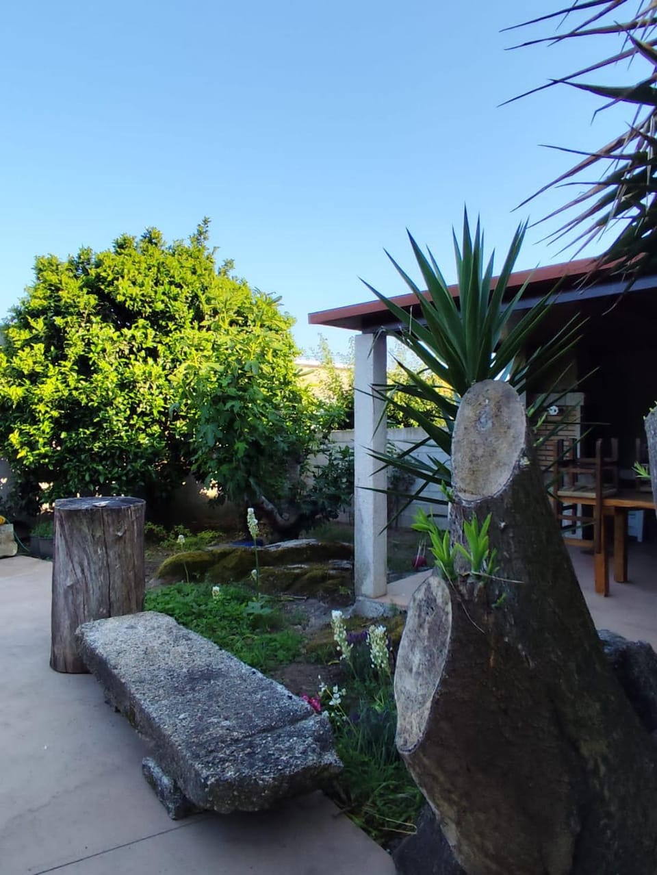 Garden view