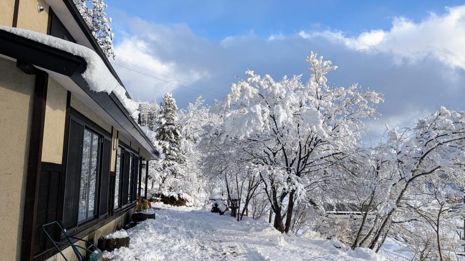 Winter, Garden