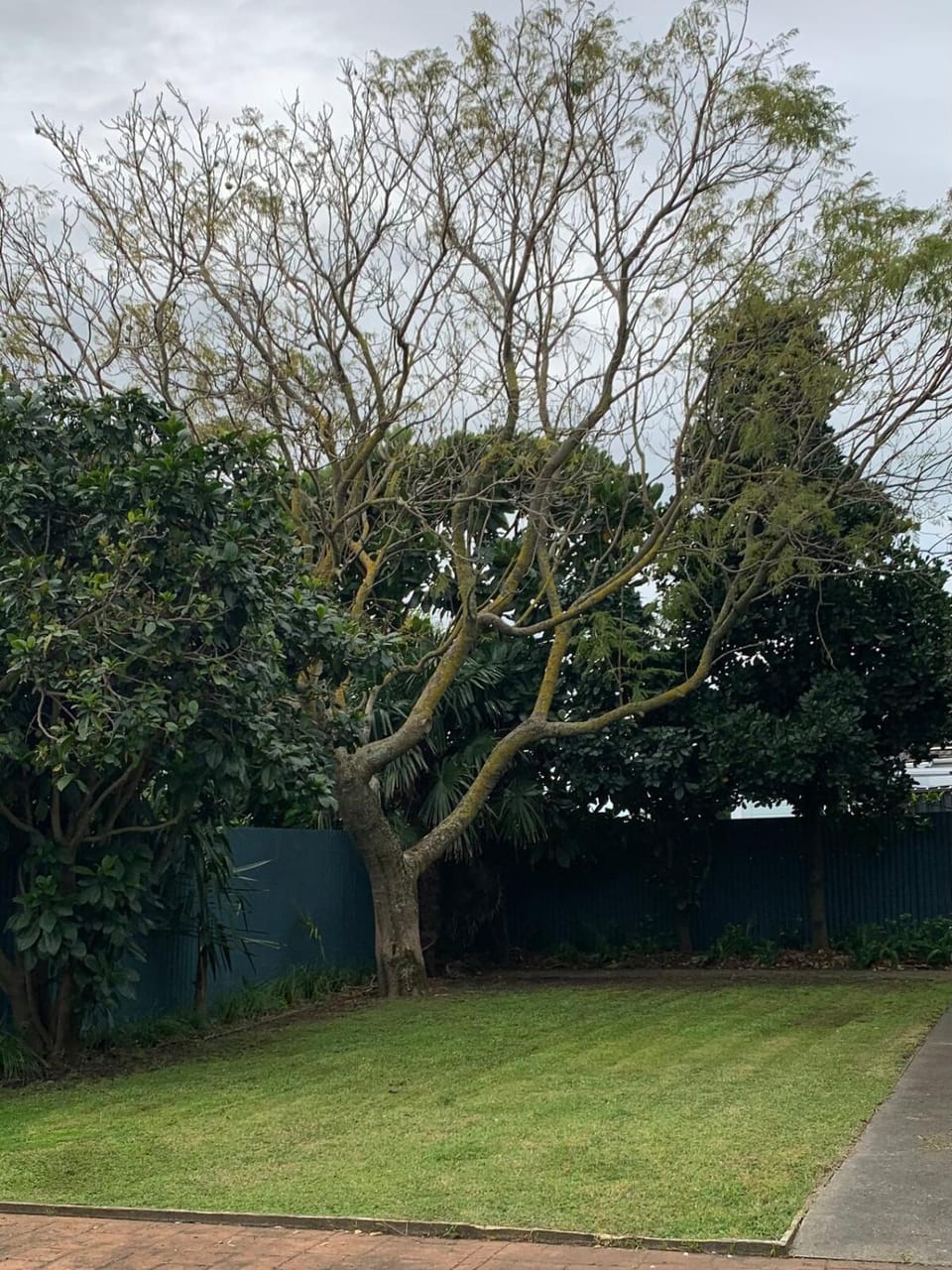 Cottage on Westshore House in Napier